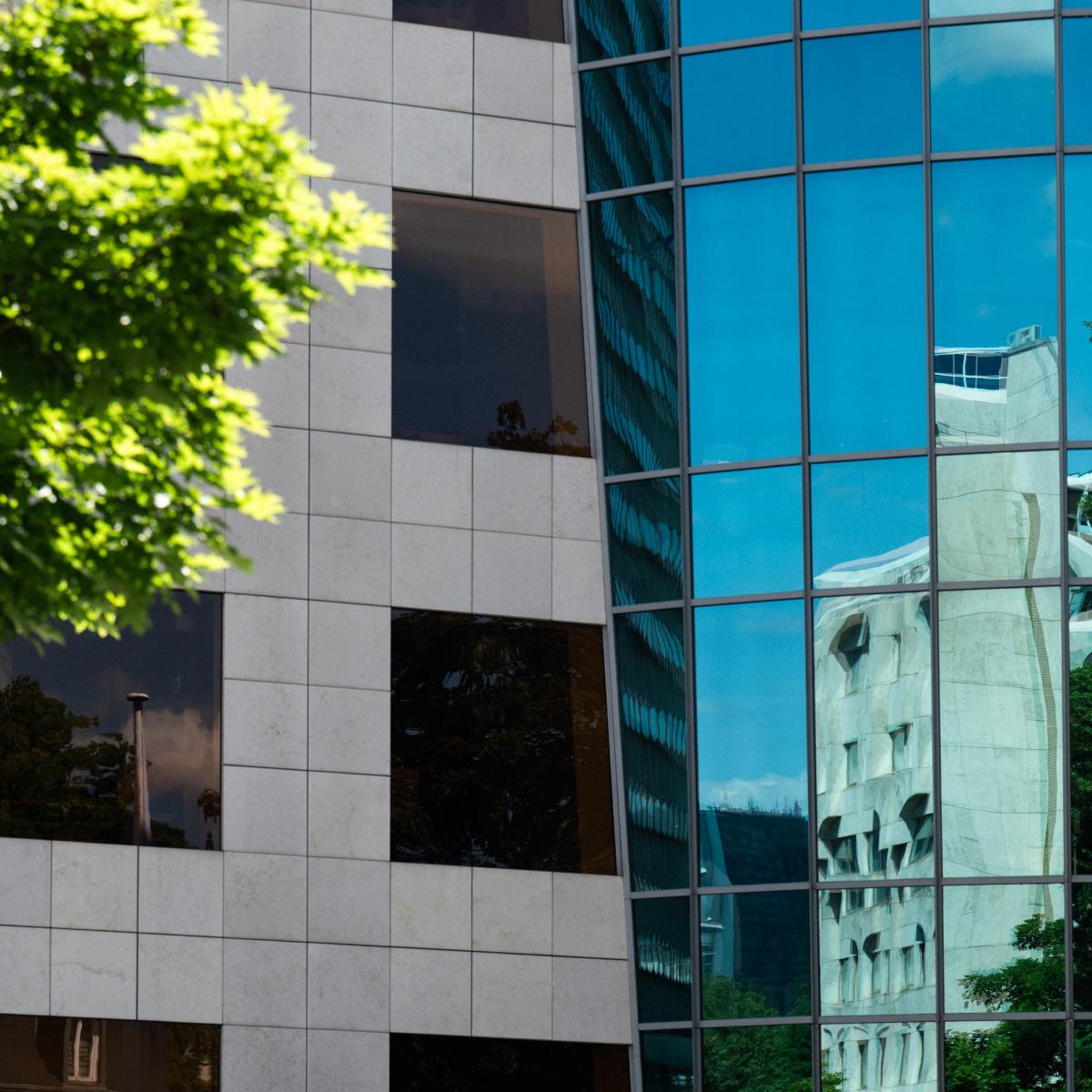 In the app-age, Luxembourg's banks feel the pressure of our thumbs ...
